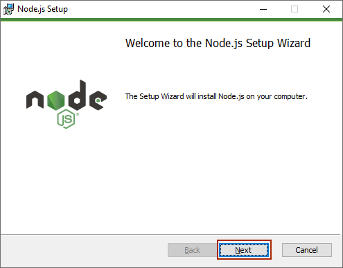 Node.js installation